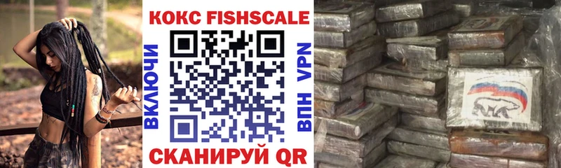 Cocaine Fish Scale  MEGA ТОР  площадка какой сайт  Сосновка 