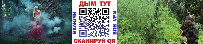 Канабис Bruce Banner MEGA онион Сосновка